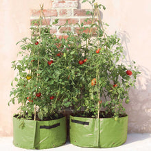 Load image into Gallery viewer, Haxnicks Patio Planters
