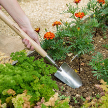 Load image into Gallery viewer, Kent &amp; Stowe Stainless Steel Border Hand Trowel
