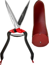 Load image into Gallery viewer, JAKOTI Hand Shears (L30cm) with Handmade Leather Holster. Sheep Shears for Dagging, Shearing &amp; Trimming. 15cm Steel Blades. 
