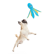 Load image into Gallery viewer, Bark Odd Otto Dog Toy
