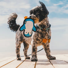 Load image into Gallery viewer, Beco Recycled Rough and Tough Penguin Small Dog Toy
