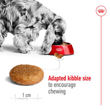 Load image into Gallery viewer, Royal Canin Medium Adult Dry Dog Food - All Sizes
