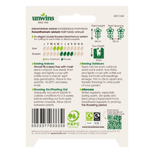 Load image into Gallery viewer, Xeranthemum annum
