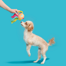 Load image into Gallery viewer, Bark Ahi Tina Dog Toy
