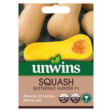 Load image into Gallery viewer, Squash (Butternut) Hunter F1
