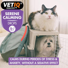 Load image into Gallery viewer, VETIQ Serene Calming Drops 100ML
