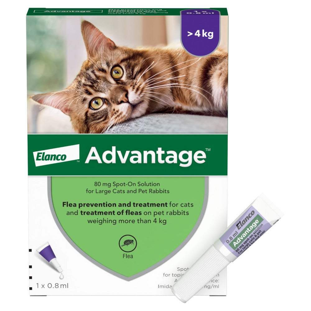 Advantage Spot On Flea Treatment For Cats, Dogs & Rabbits - 1 Pipette