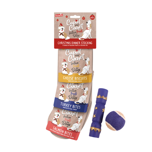 Rosewood Christmas Dinner Stocking Gift for Dogs