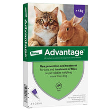 Load image into Gallery viewer, Advantage Spot On Flea Treatment For Cats, Dogs &amp; Rabbits - 4 Pipette Packs
