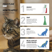 Load image into Gallery viewer, Frontline Plus Flea &amp; Tick Treatment For Cats &amp; Dogs
