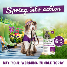 Load image into Gallery viewer, Drontal Tasty Bone Wormer Tablets, Convenient for Small &amp; Medium Dogs (2 to 20kg) 6 Tablets
