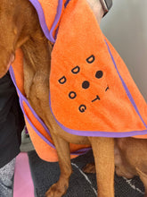 Load image into Gallery viewer, Dot Dot Pet - Highly Absorbent Bamboo Towels for dogs in Small and Medium 
