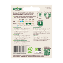 Load image into Gallery viewer, Zinnia Raspberry Lemonade
