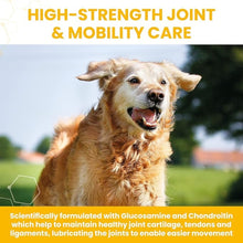 Load image into Gallery viewer, Vetzyme High Strength Flexible Joint Tablets 90 tablets
