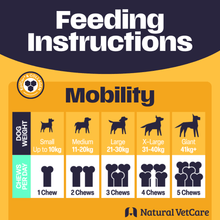 Load image into Gallery viewer, Natural VetCare Health &amp; Wellbeing Chews for Dogs – Age Well, Calm &amp; Settle, Daily Multivitamin, Gut Balance &amp; Mobility – Vet-Formulated Chews
