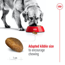 Load image into Gallery viewer, Royal Canin Maxi Adult Dry Dog Food - All Sizes
