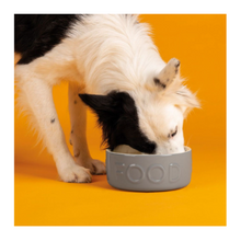 Load image into Gallery viewer, Scruffs Drinking and Food Bowls 
