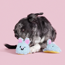 Load image into Gallery viewer, Bark Yippy &amp; Skippy Slippies Dog Toy
