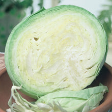 Load image into Gallery viewer, Cabbage (Round) Holland Winter White
