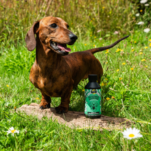 Load image into Gallery viewer, Proflax Immunity &amp; Vitality Supplement
