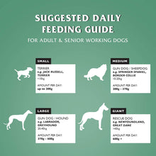Load image into Gallery viewer, Dr John Hypoallergenic Dog Food 12.5kg – Complete Dry Food for Sensitive Dogs | Available in Duck &amp; Salmon, Chicken or Lamb &amp; Rice | VAT Free
