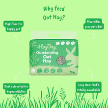 Load image into Gallery viewer, HayDay Outstanding Oat Hay
