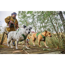 Load image into Gallery viewer, Hurtta Weekend Warrior Harness II ECO Parsley 45-60cm
