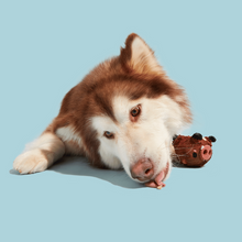 Load image into Gallery viewer, Bark Wild Boris Dog Toy
