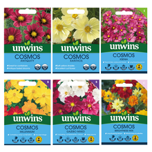Load image into Gallery viewer, Unwins Cosmos Sunset Seed Bundle
