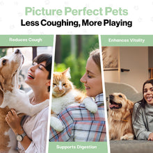 Load image into Gallery viewer, ProBioPets Daily Probiotic Cough Powder 100g
