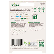 Load image into Gallery viewer, Nicotiana Cuba Lime Purple Bicolour
