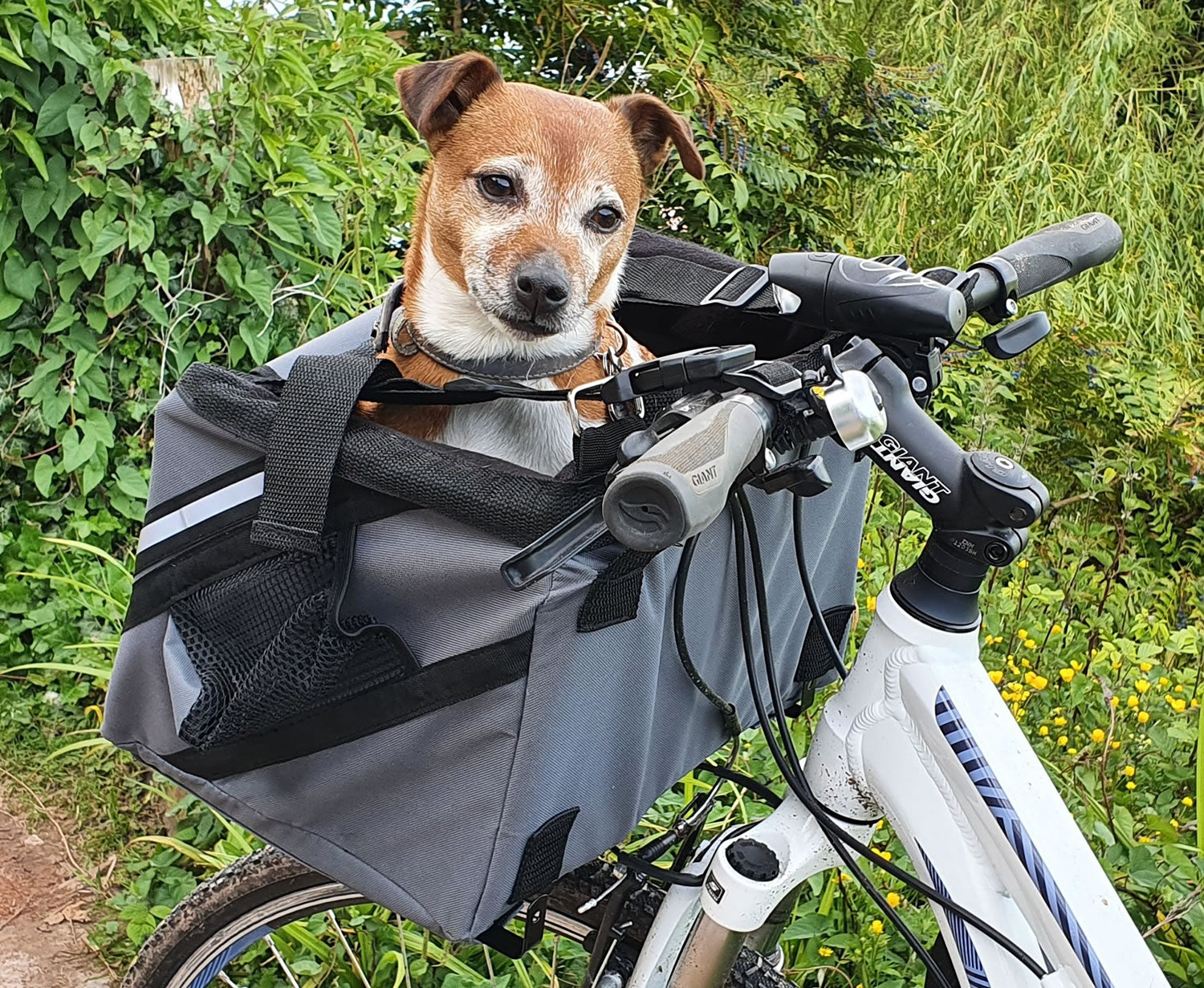Henry Wag Pet Bike Seat/Basket Grey |Direct4Pet Free Delivery