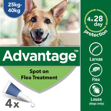 Load image into Gallery viewer, Advantage Spot On Flea Treatment For Cats, Dogs &amp; Rabbits - 4 Pipette Packs
