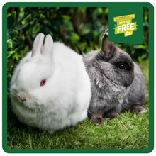Load image into Gallery viewer, Burgess Excel Junior &amp; Dwarf Rabbit Nuggets With Mint 9kg
