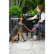 Load image into Gallery viewer, Twiggy Tags Awareness Collar
