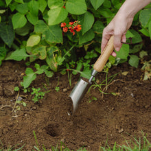 Load image into Gallery viewer, Kent &amp; Stowe Stainless Steel Small Bulb Planter
