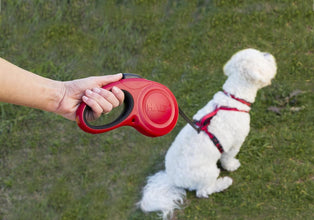 Load image into Gallery viewer, Halti Retractable Dog Leads Various Sizes and Colours
