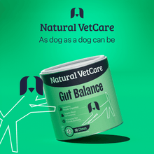 Load image into Gallery viewer, Natural VetCare Health &amp; Wellbeing Chews for Dogs – Age Well, Calm &amp; Settle, Daily Multivitamin, Gut Balance &amp; Mobility – Vet-Formulated Chews
