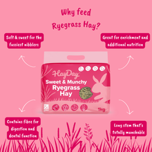 Load image into Gallery viewer, HayDay Sweet and Munchy Ryegrass
