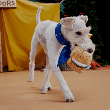 Load image into Gallery viewer, Bark More S'Mores Dog Toy
