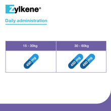 Load image into Gallery viewer, Zylkene Calming Supplement for Dogs 30-60kg

