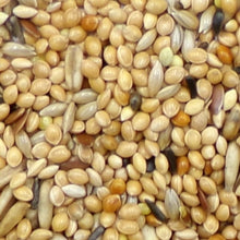 Load image into Gallery viewer, Marriage&#39;s Foreign Finch Food 1kg
