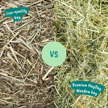 Load image into Gallery viewer, HayDay Moreish Meadow Hay
