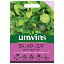 Load image into Gallery viewer, Salad Leaf Spicy Mix
