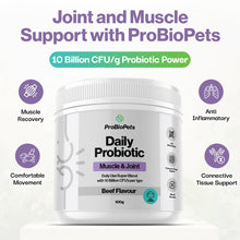 Load image into Gallery viewer, ProBioPets Daily Probiotic Joint &amp; Muscle Powder 100g
