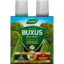 Load image into Gallery viewer, Westland 2 in1 Feed and Protect Buxus 2 x 500ml
