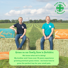 Load image into Gallery viewer, HayDay Outstanding Oat Hay
