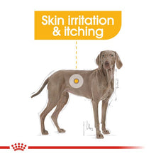 Load image into Gallery viewer, Royal Canin CCN Maxi Dermacomfort Dog Food 12kg
