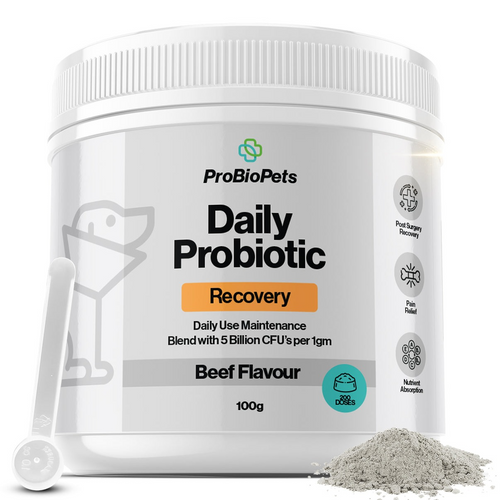 ProBioPets Daily Probiotic Recovery Powder 100g
