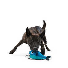 Load image into Gallery viewer, Bark Catfish Claude Dog Toy
